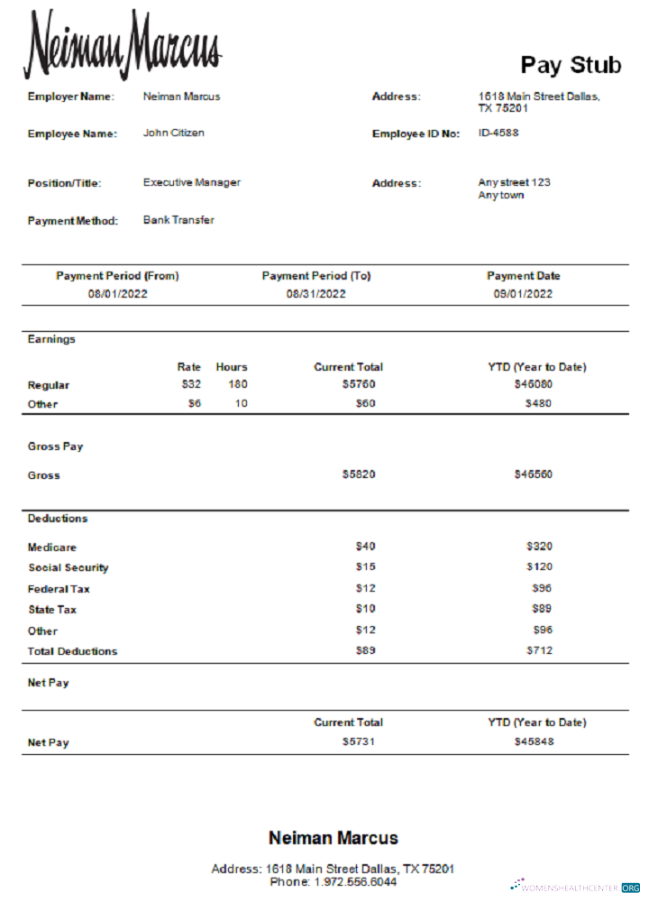 Download USA Neiman Marcus department store company pay stub Photoshop template